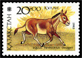 Equus hemionus onager stamp