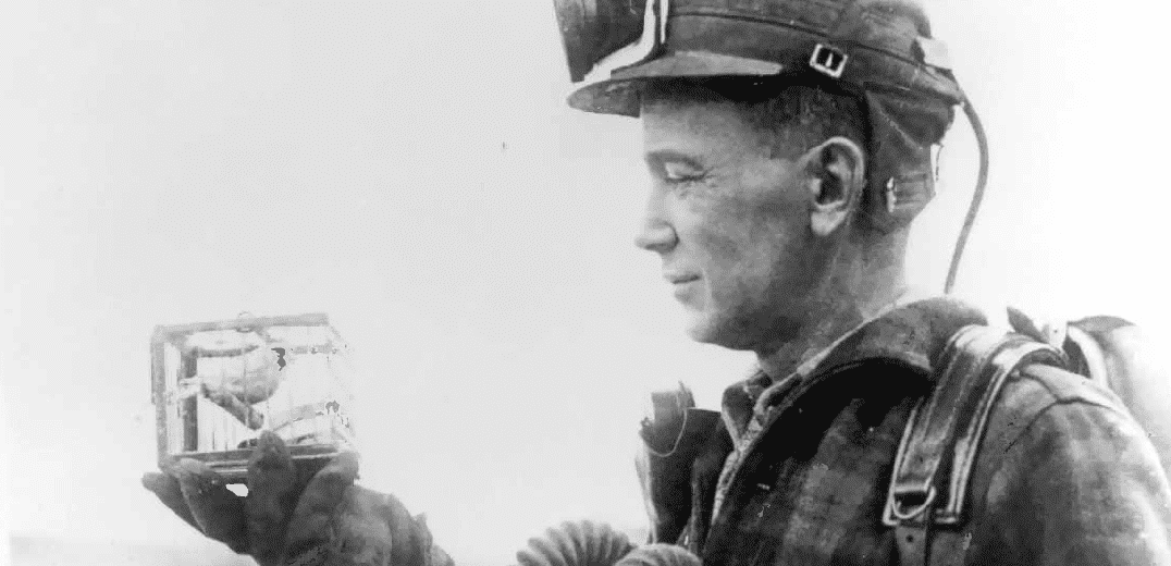 First to fall over ...