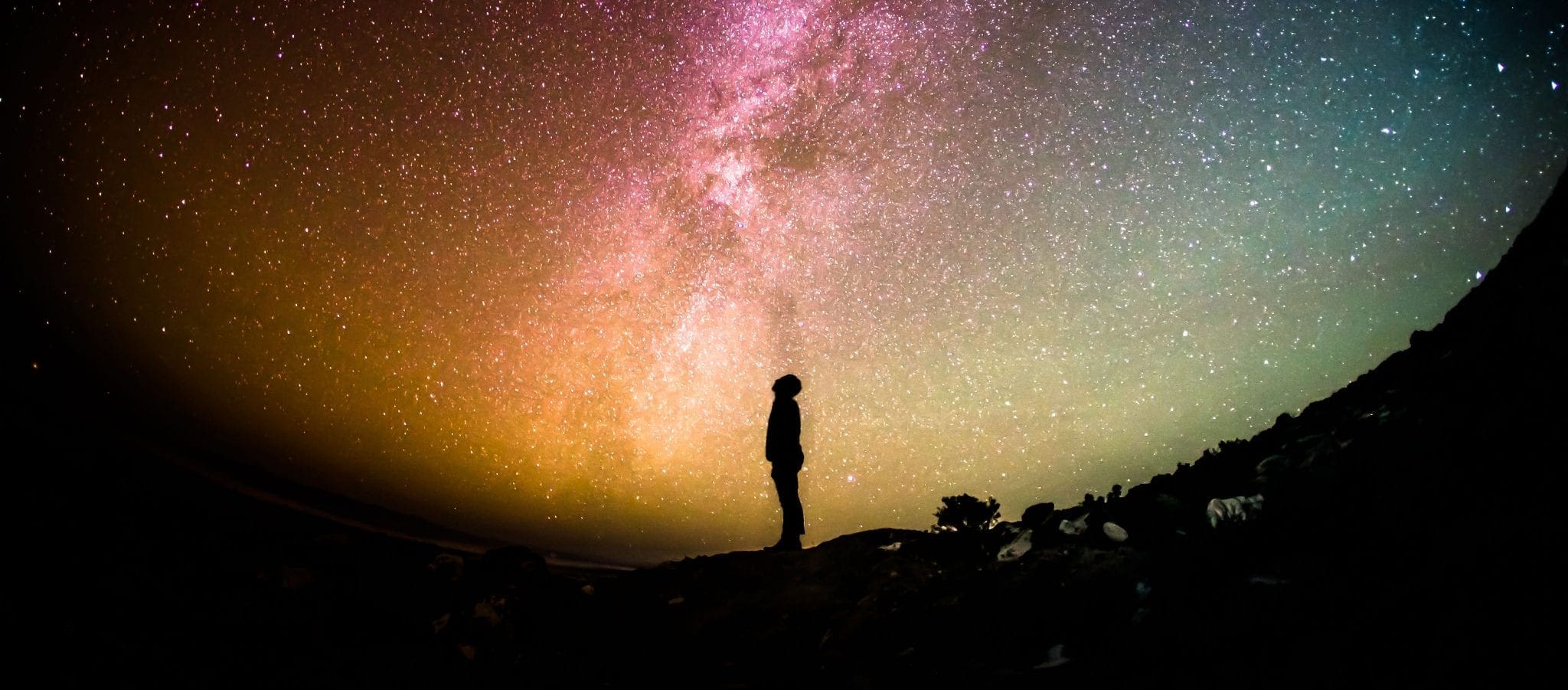 greg-rakozy-38802-unsplash greg rakozy 38802 unsplash