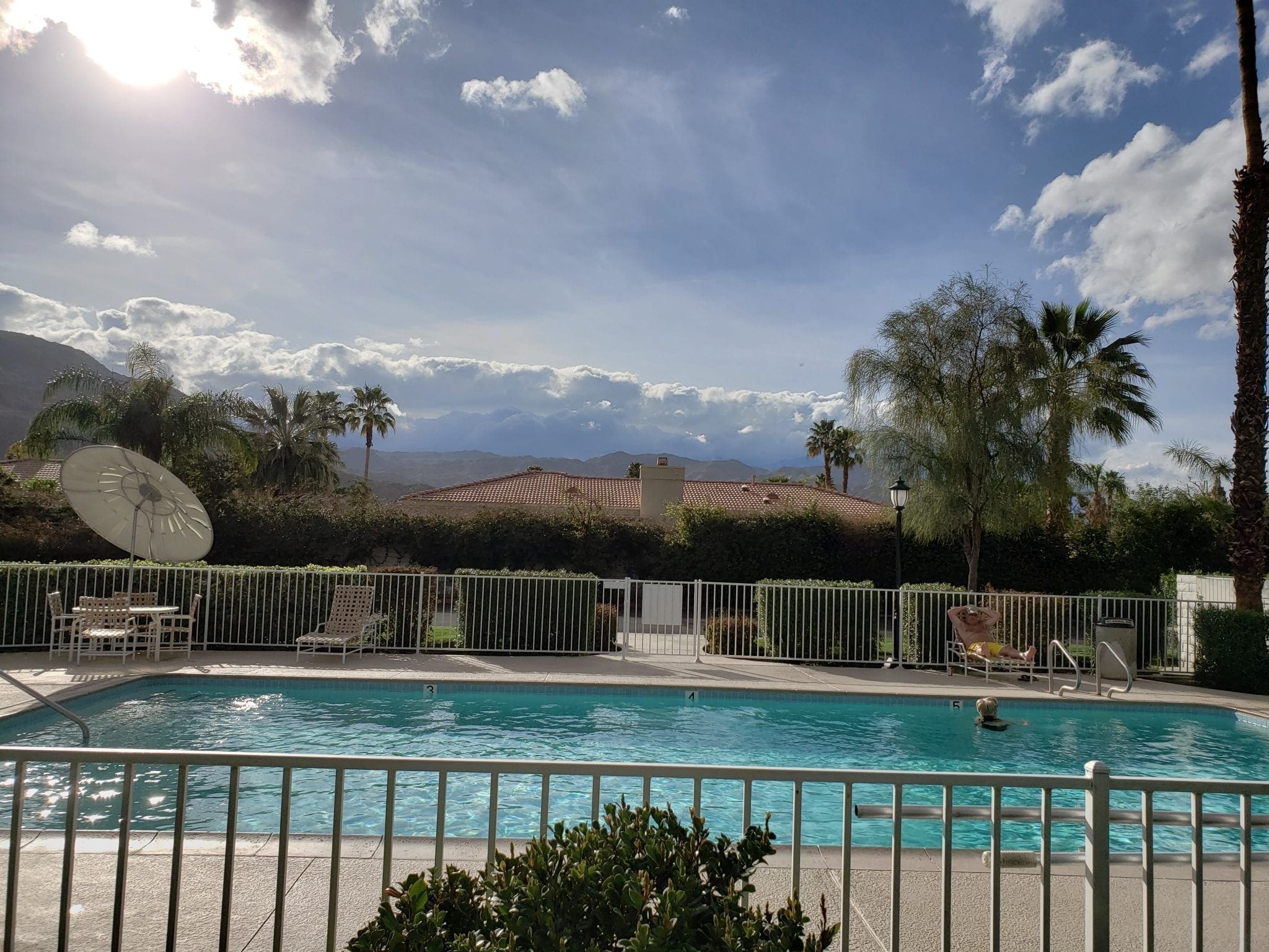 Palm Springs Weather Rolling In Maker Turtle Palm Springs Weather Rolling In Maker Turtle
